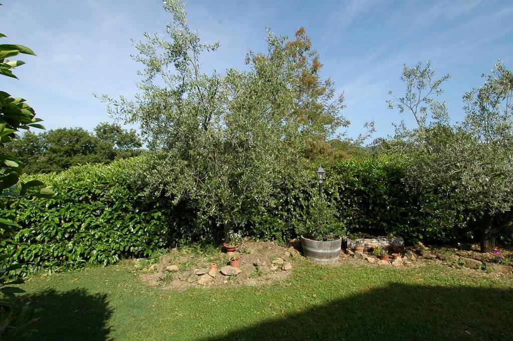 סובאנה Agriturismo San Vincenzo מראה חיצוני תמונה